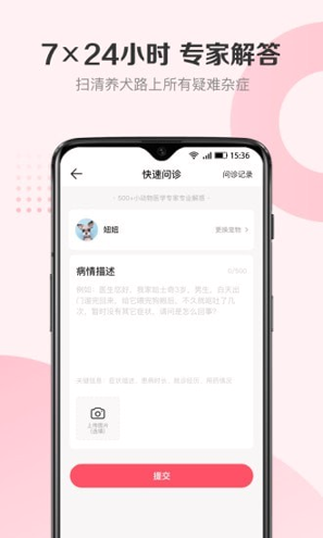 68宠物-01