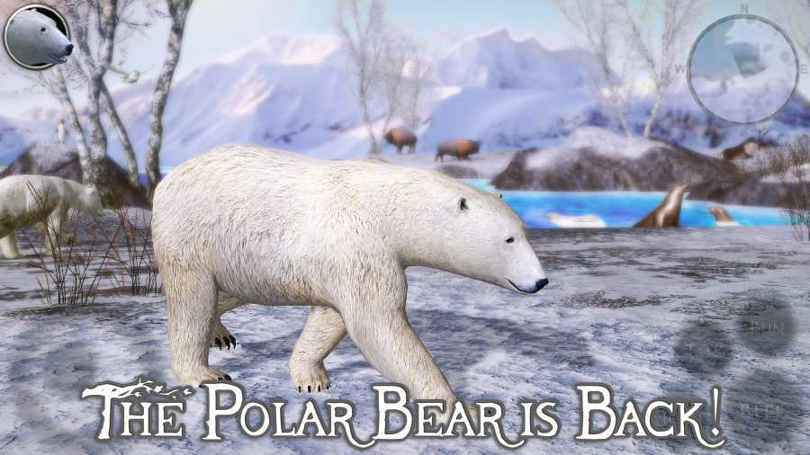 北极熊模拟器2-0