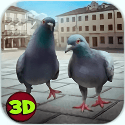 城市之鸽模拟3d