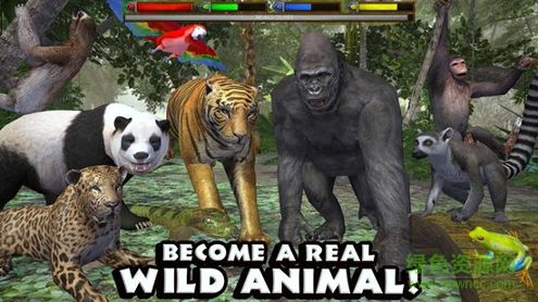 丛林动物模拟器-3