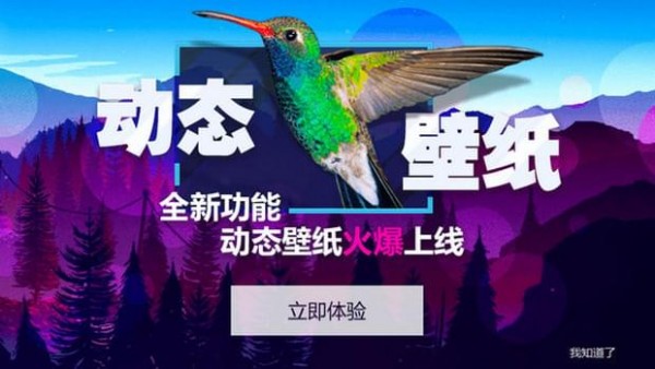 360小鸟壁纸-1