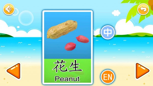 宝宝早教有声卡片-0