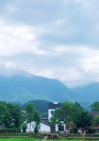 共治家园-1