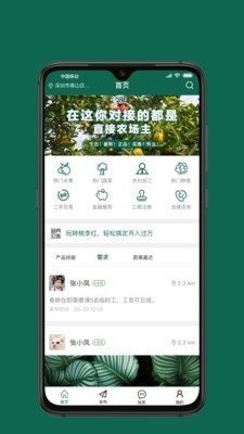 桃李红-01