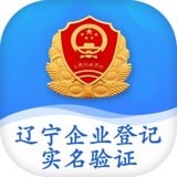 辽宁工商全程电子化平台