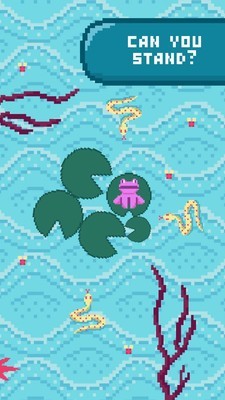 休闲青蛙-3