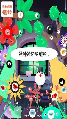 托卡城镇植物-01