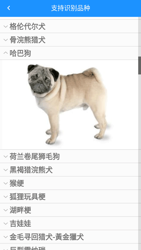万能拍照识别-1
