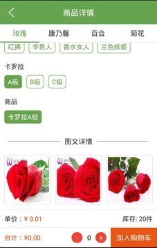 忘不了花卉-01