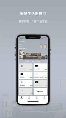 智小金-01