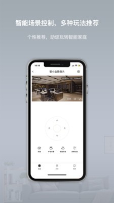 智小金-01