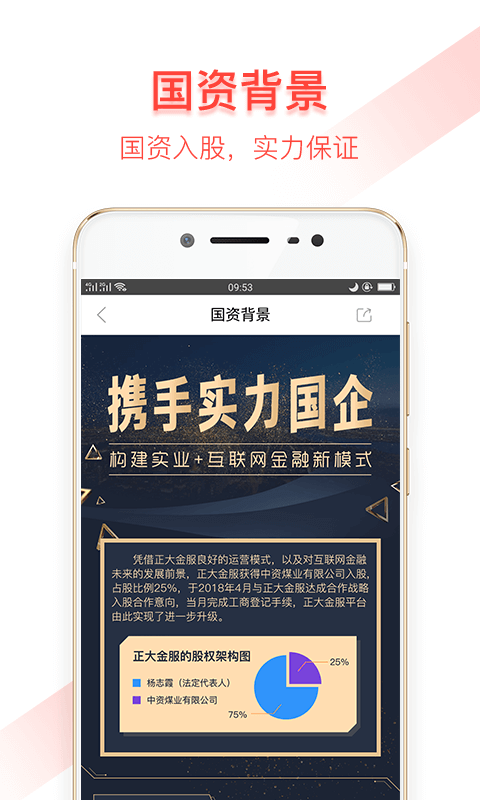 正大金服-3
