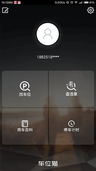 车位猫-01
