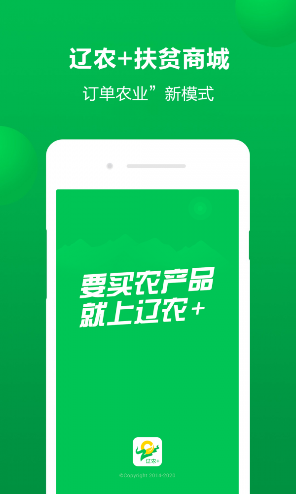 辽农-01