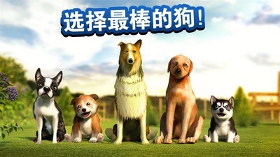 在狗狗小屋里-01