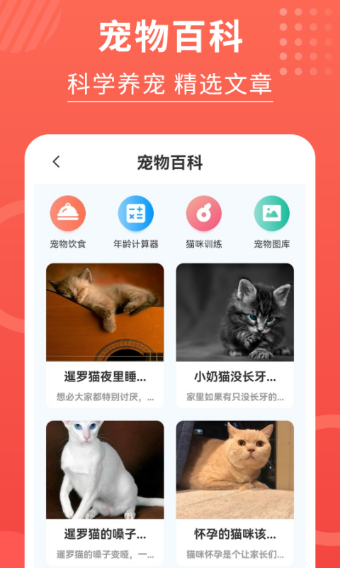 喵星人翻译器-3