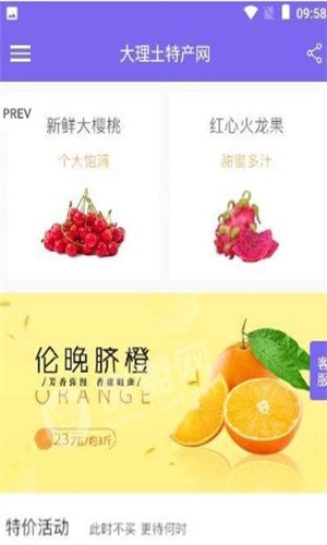 大理土特产网-01