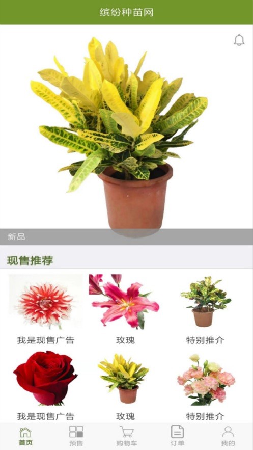 缤纷种苗-3
