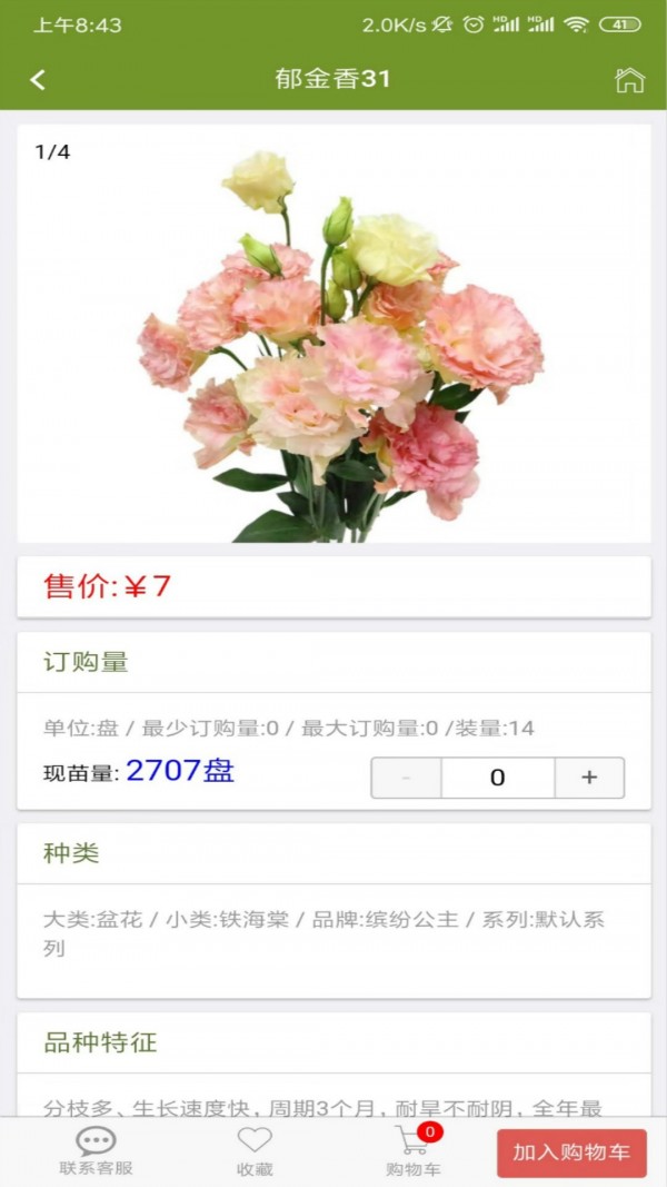 缤纷种苗-2