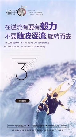 微商橘子-0