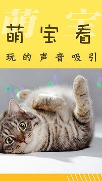 萌宝照相机-01