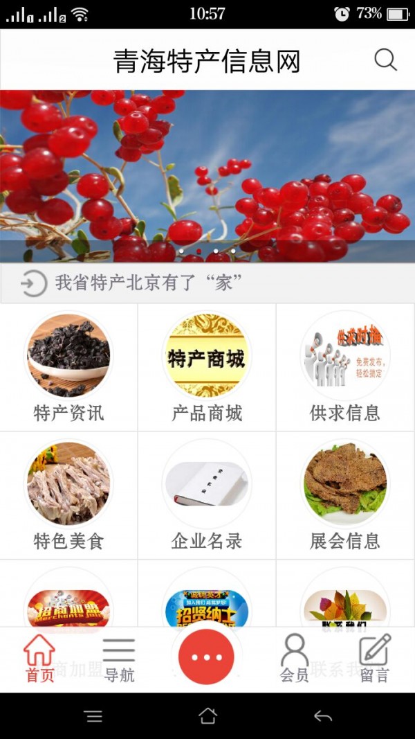 青海特产信息网-1