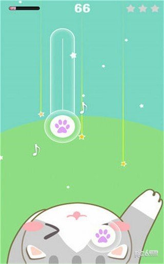 猫咪钢琴方块-01