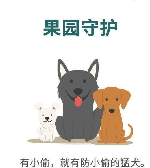 百姓农场-2