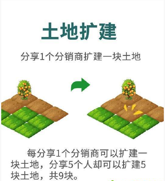 百姓农场-1