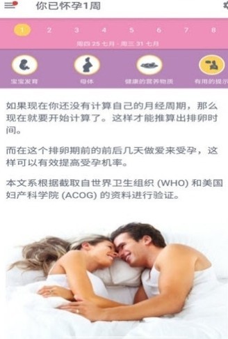 怀孕日历表-1