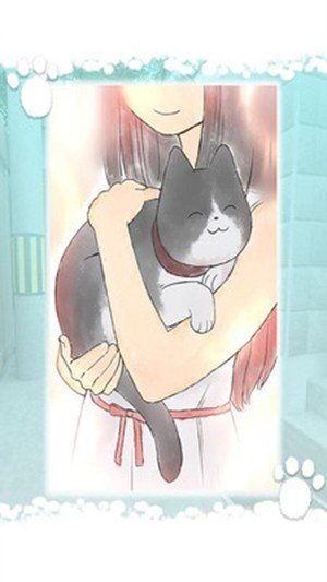 迷路的猫-01