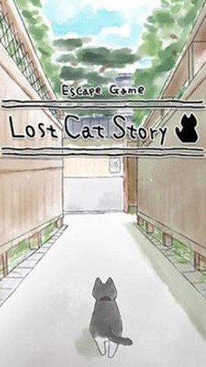 迷路的猫-01