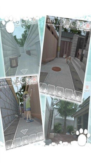 迷路的猫-01