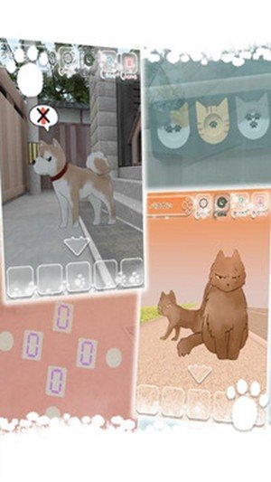 迷路的猫-01