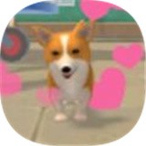 狗狗生活