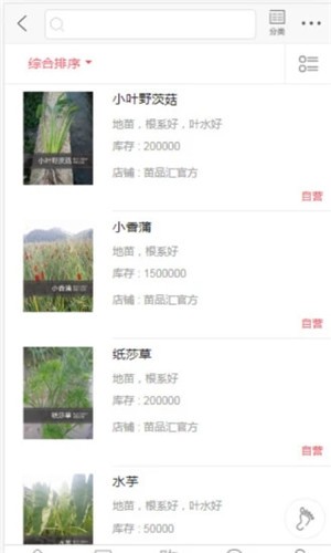 苗品汇-1