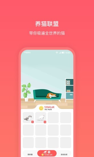 养猫联盟-01