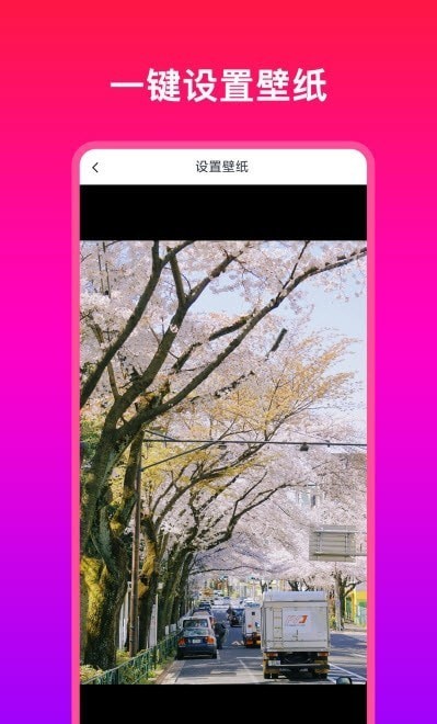 多多壁纸大全-1