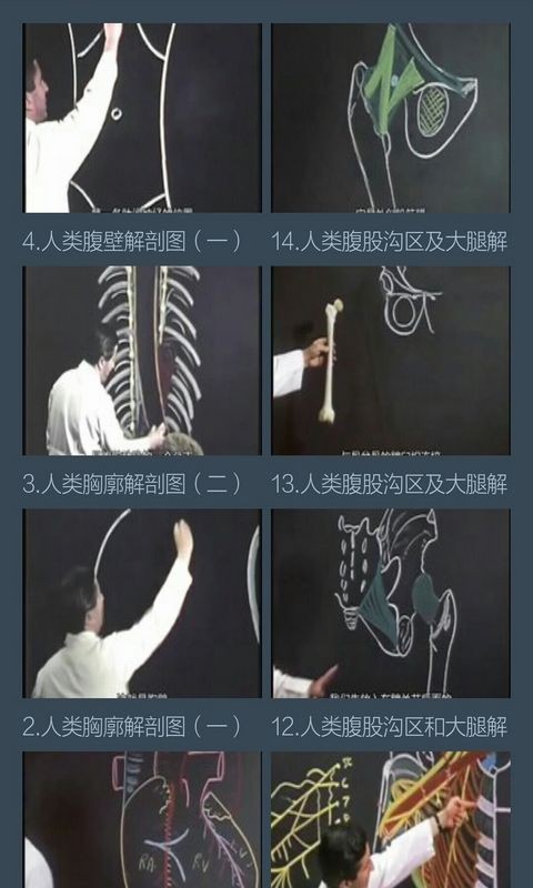 解剖学知识-01