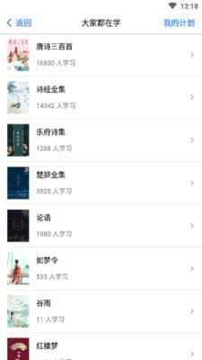 竹雨诗影-2