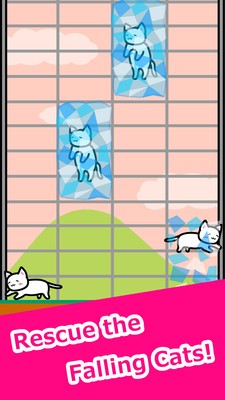 有猫生活-01
