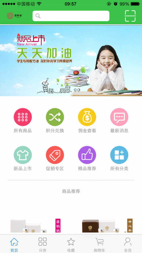 古树谷-01