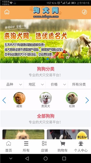 淘犬网-01