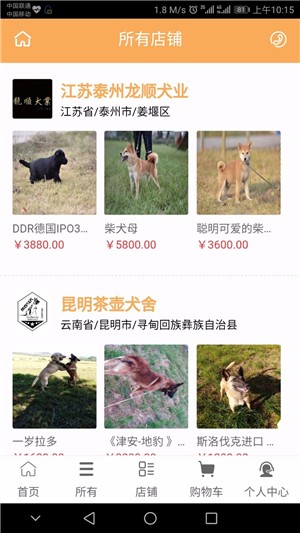 淘犬网-01