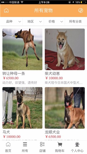 淘犬网-01