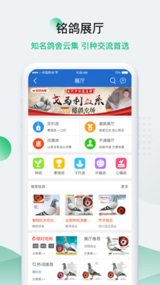 中国信鸽信息网-01