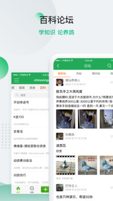中国信鸽信息网-01