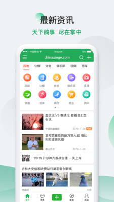 中国信鸽信息网-01
