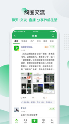 中国信鸽信息网-01