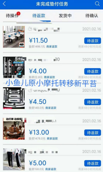 鱼儿网-1